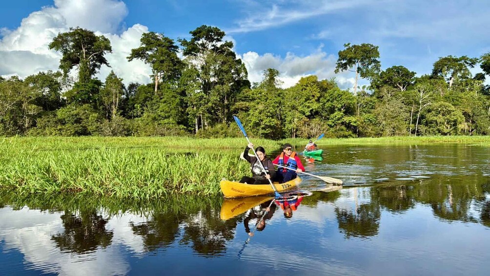 Two people kayaking on a calm river surrounded by lush greenery and trees. 1