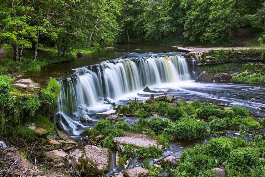 A waterfall surrounded by lush greenery and rocks. 1