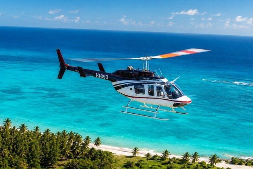 Private Tour in Punta Cana with Helicopter 4