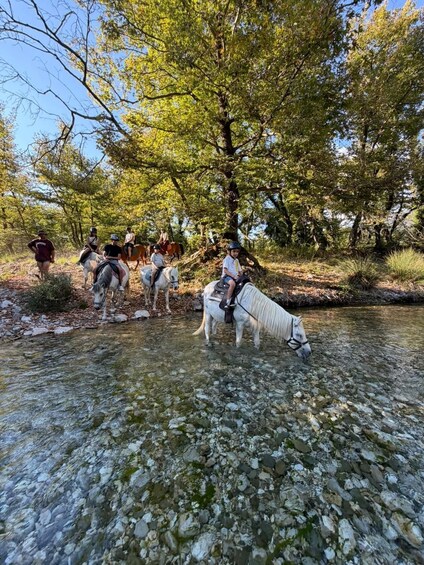 Picture 4 for Activity Zagori Voidomatis River Horseback Ride 5