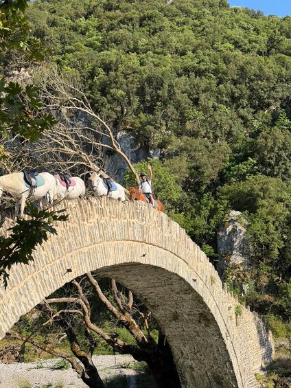 Picture 6 for Activity Zagori Voidomatis River Horseback Ride 4
