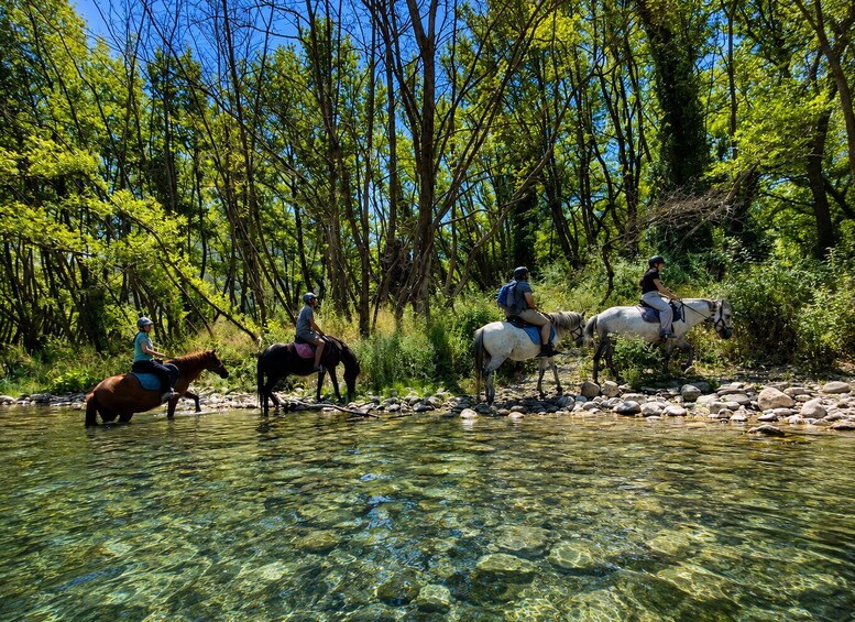 Picture 2 for Activity Zagori Voidomatis River Horseback Ride 3