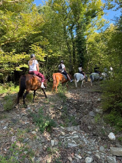 Picture 7 for Activity Zagori Voidomatis River Horseback Ride 3