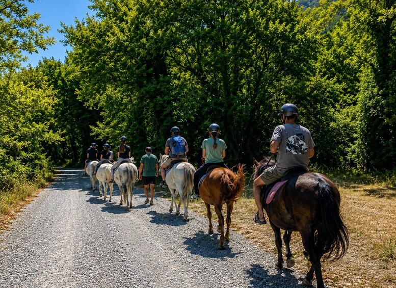 Picture 3 for Activity Zagori Voidomatis River Horseback Ride 2