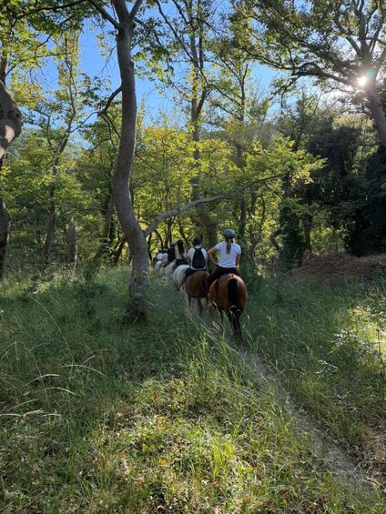 Picture 5 for Activity Zagori Voidomatis River Horseback Ride 2