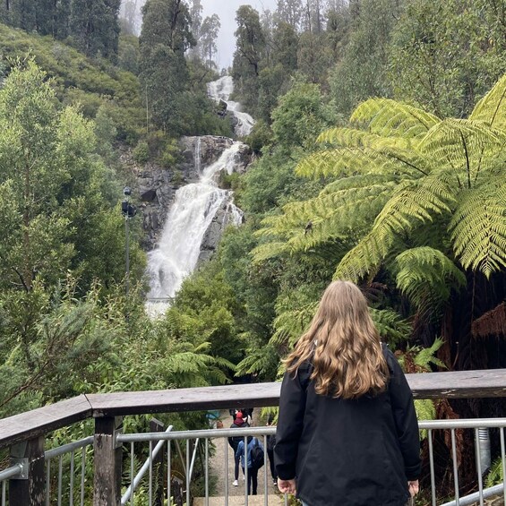 A waterfall in a forested area with a bridge in the foreground. 3