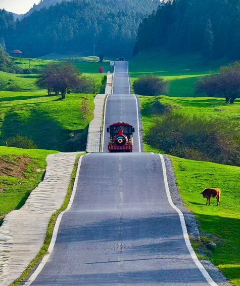A train traveling down a straight road flanked by green fields and trees. 2