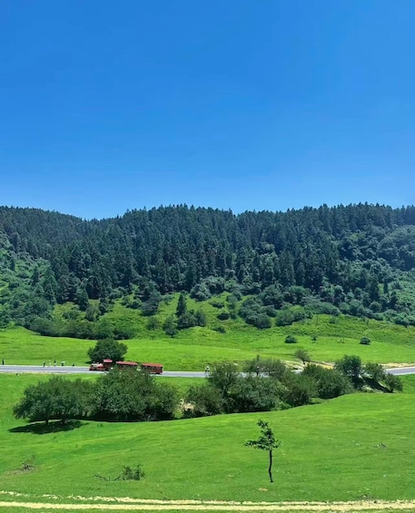 A green field with a red bus, a road, and a forested hill in the background. 1