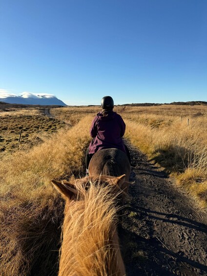 A person riding a horse on a dirt path with dry grass and a clear sky. 1