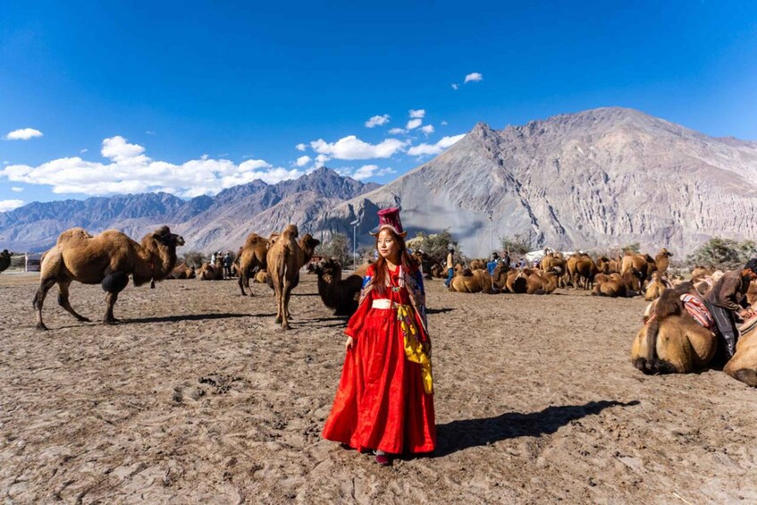 A person in traditional attire standing in a desert with camels and mountains in the background. 2