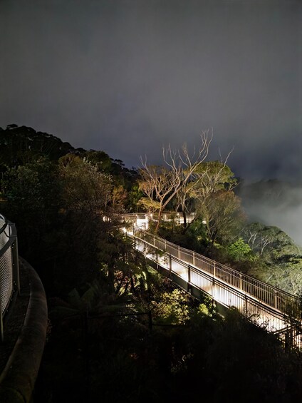 A nighttime view of a bridge with a metal railing, surrounded by dense foliage and misty mountains. 2