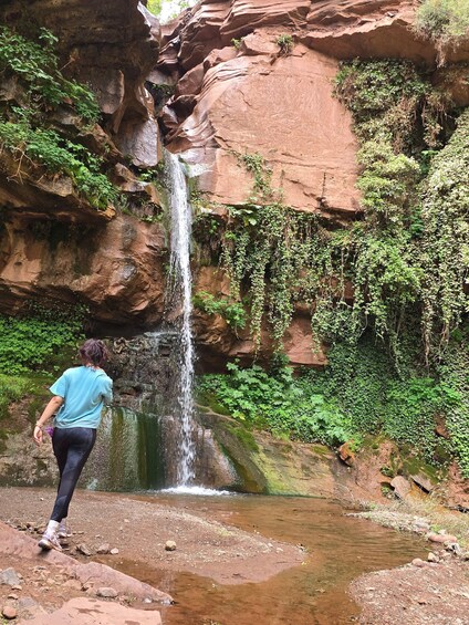 A waterfall cascading into a pool surrounded by rocky cliffs and greenery. 3