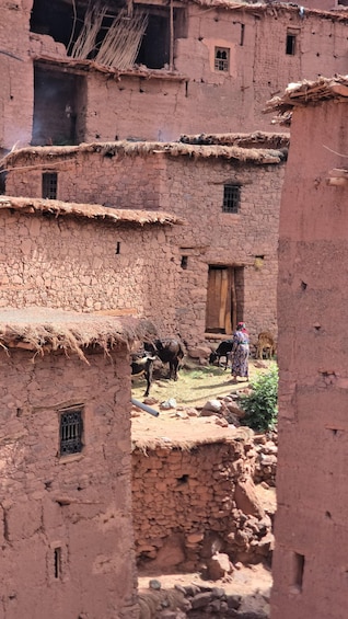 A traditional mud-brick village with thatched-roof houses and a person in traditional attire. 2