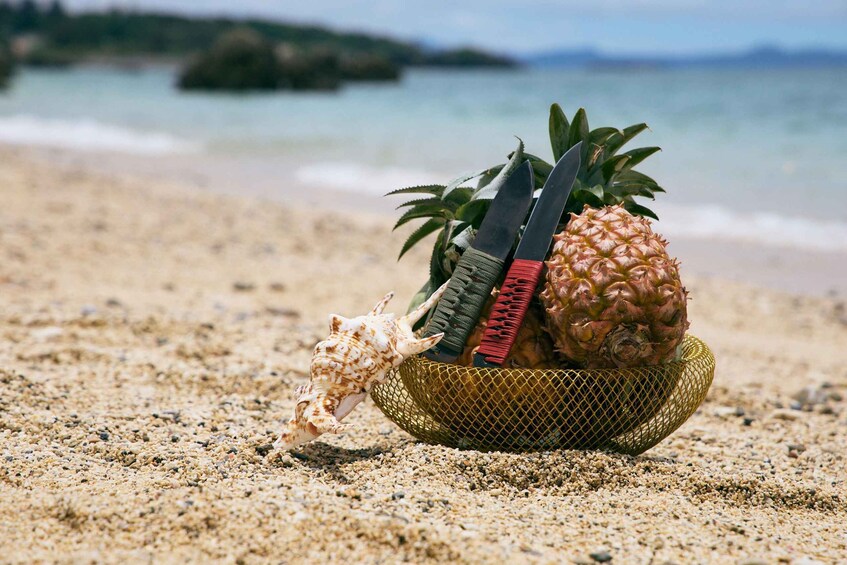 A beach with a pineapple, a knife, and a shell in a mesh basket. 3