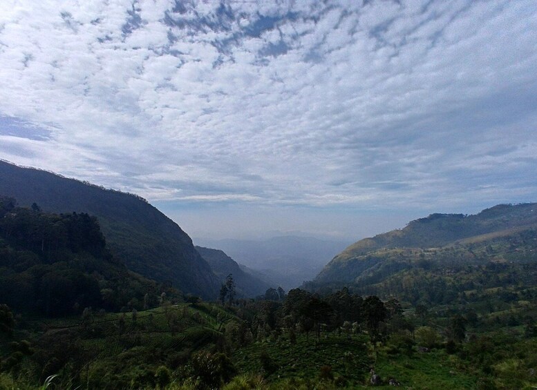 A valley with lush green hills and a cloudy sky. 2