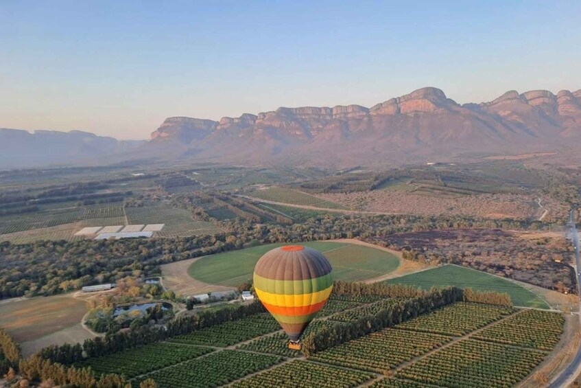 A hot air balloon over a vineyard with mountains in the background. 4