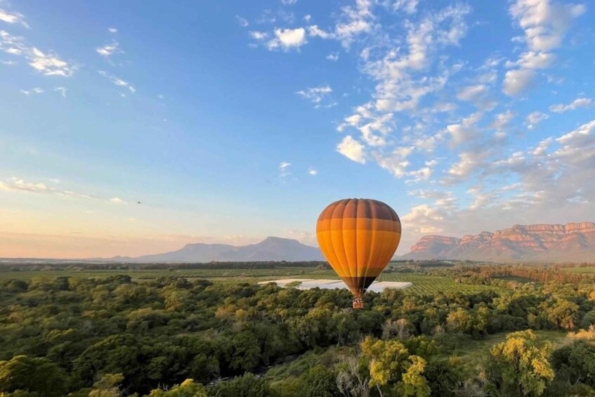 A hot air balloon over a landscape with trees and mountains. 5