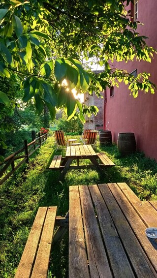 A wooden picnic table under a tree with a red building in the background. 3