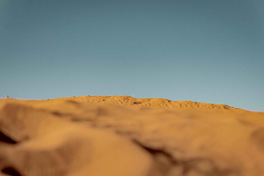 Picture 13 for Activity From Djerba: 4x4 Desert Trip to Tataouine, Guermassa & Sand 5