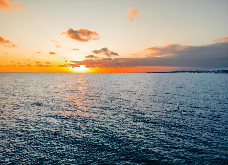 A sunset over a calm sea with swans. 4