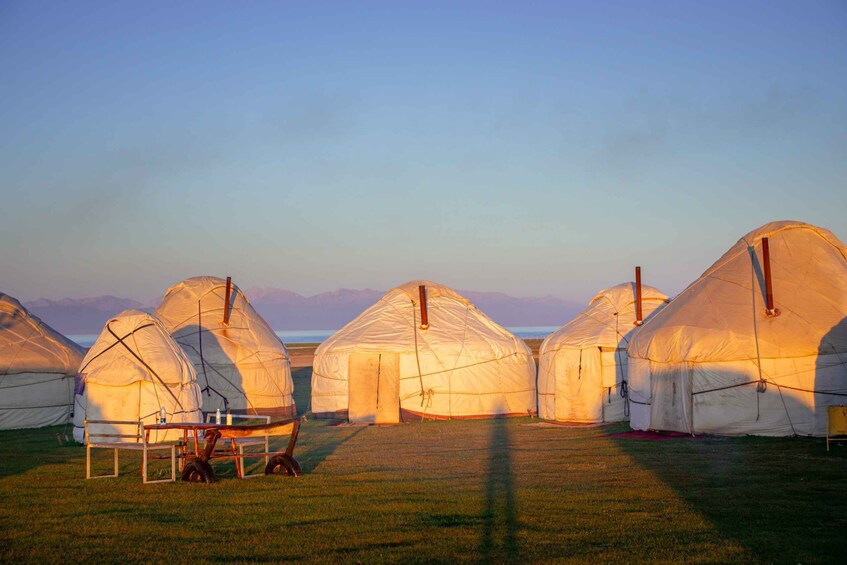 A row of traditional yurts in a grassy field with mountains in the background. 2