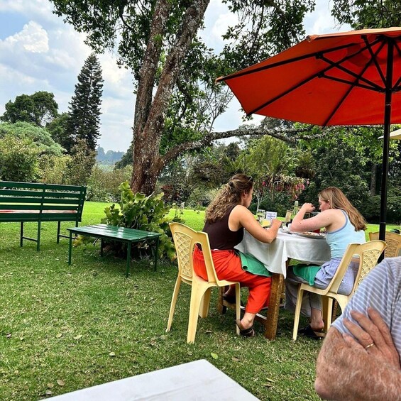 A group of people dining outdoors at a table under a red umbrella, surrounded by greenery and a bench. 2