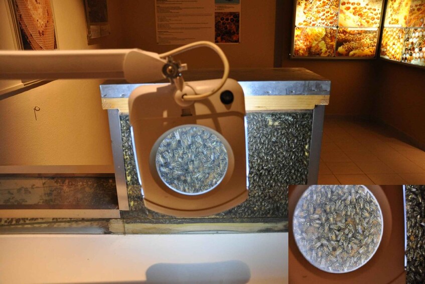A close-up of a circular object with a textured surface, possibly a decorative item or a part of a larger structure. 4