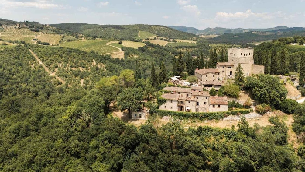 A medieval castle surrounded by vineyards and rolling hills. 3