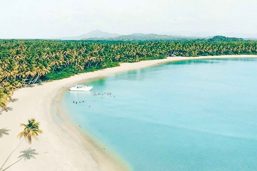 A beach with a boat, palm trees, and a clear blue sea. 3