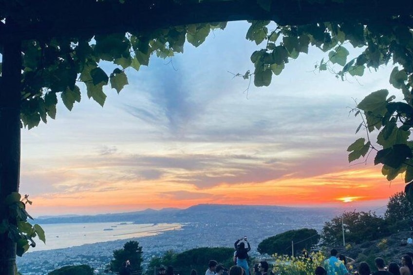 Pompeii and Emotions on Mount Vesuvius: Guided Tour from Naples by Bus 1