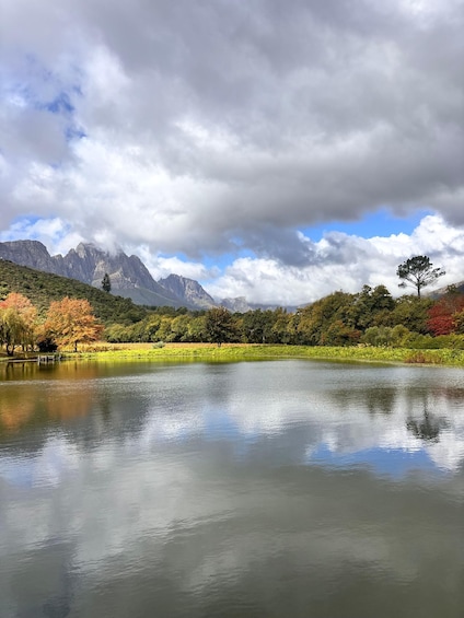 A calm lake reflecting trees and mountains under a cloudy sky. 1