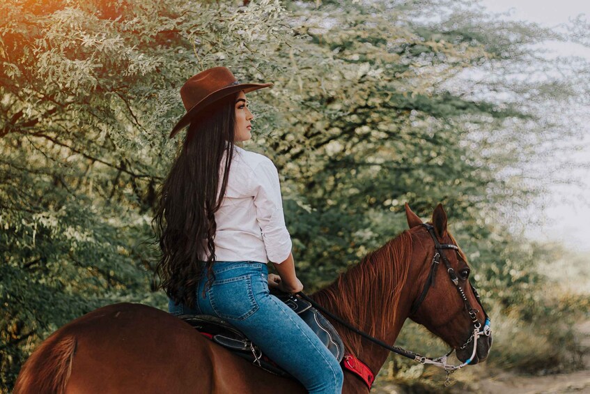 A person riding a horse in a wooded area. 2