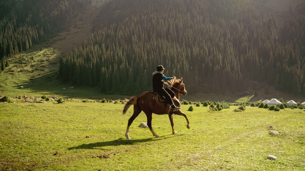 A person riding a horse across a grassy field with a forested mountain in the background. 5