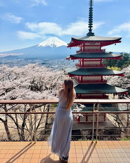 From Tokyo: Mount Fuji & Hakone Private Tour With Guide 1