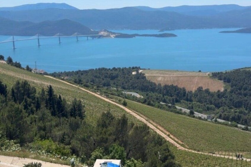 A coastal landscape with a bridge, vineyards, and a body of water. 2