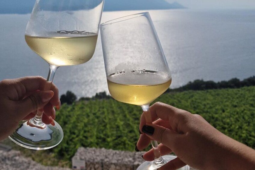 Two people toasting with white wine glasses against a scenic backdrop of a body of water and greenery. 4