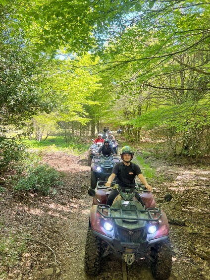 A group of people on ATVs on a forest trail. 1