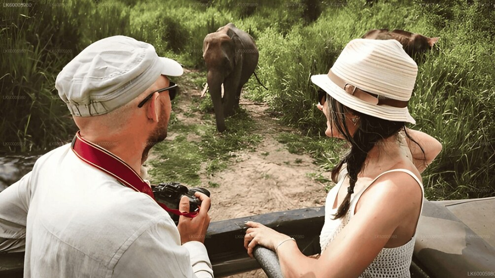 A man and woman observing an elephant in a natural setting. 1