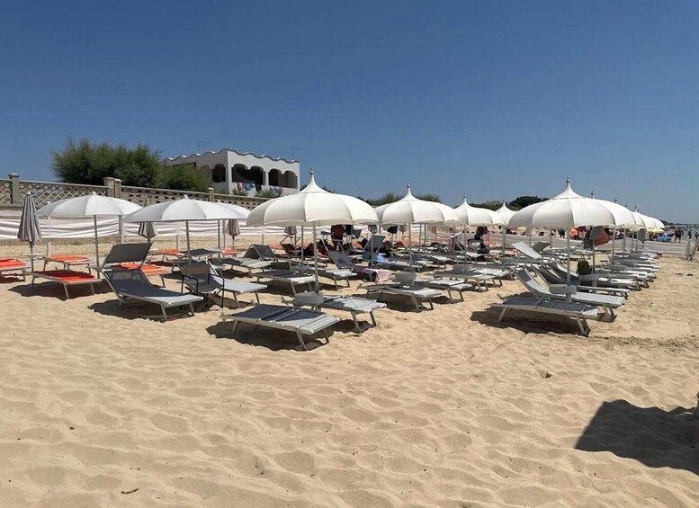 A beach with rows of sun loungers and white umbrellas. 5
