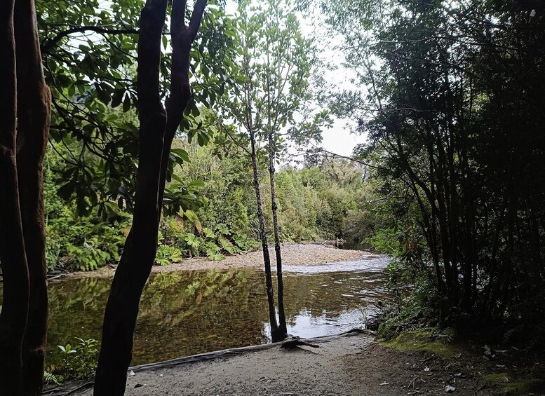 A river with surrounding dense forest and a dirt path. 5