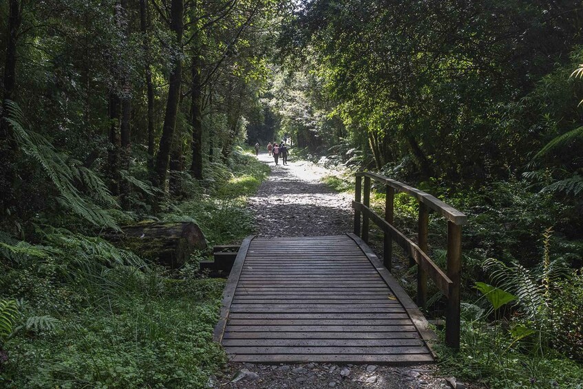 A wooden bridge in a forested area with people walking on a dirt path. 3