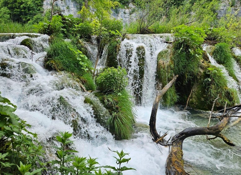 A cascading waterfall surrounded by lush greenery. 2