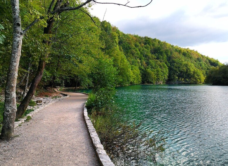 A gravel path beside a calm lake, surrounded by dense green forest. 4