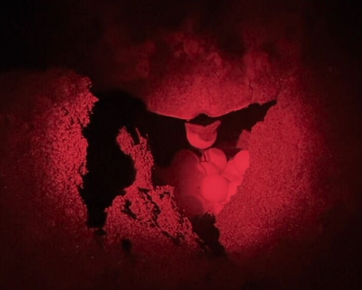 A red-lit sculpture of a figure with a large head and a smaller body. 2