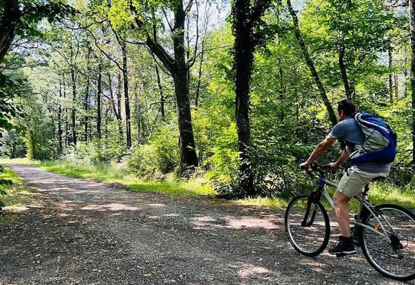 A person cycling on a gravel path surrounded by dense green foliage. 3