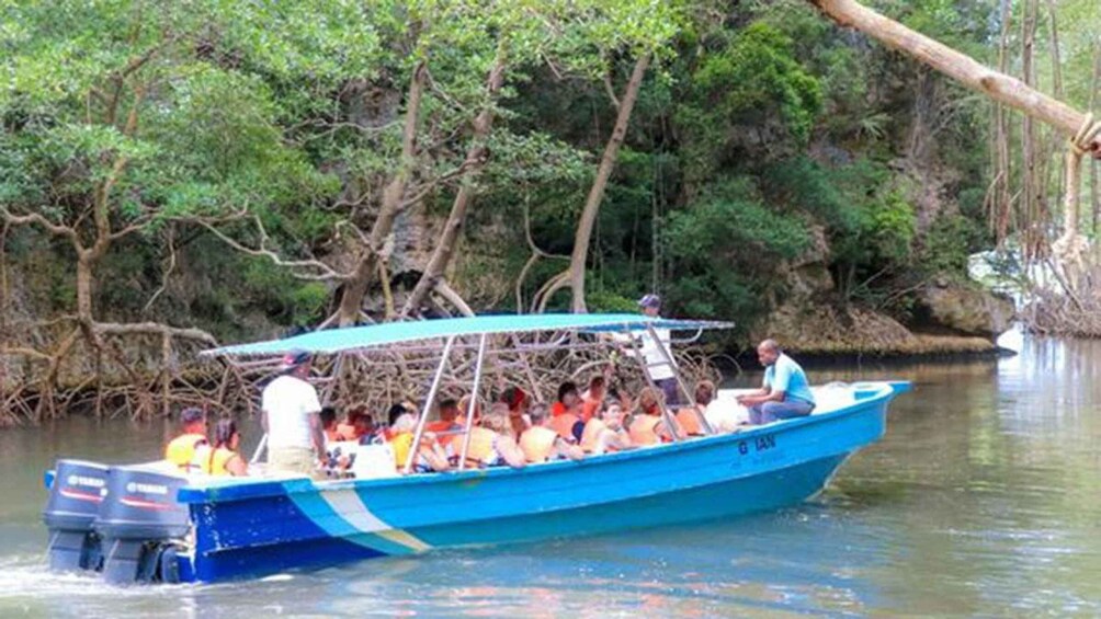 A blue boat with passengers, surrounded by dense mangrove trees. 4