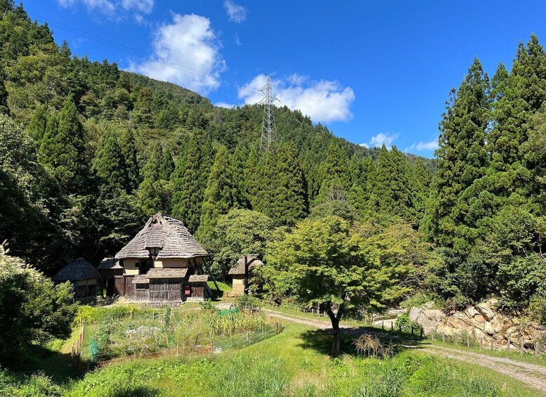 A rural landscape with a thatched-roof house, dense forest, and a power line tower. 2