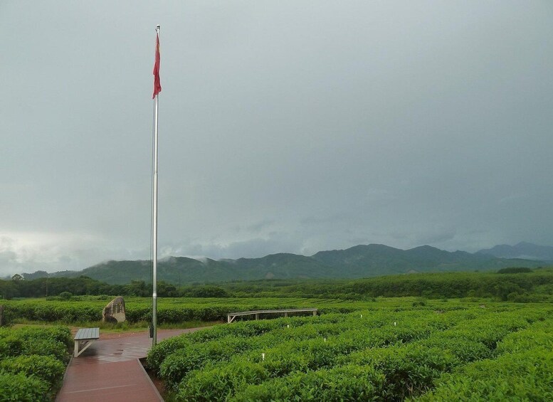 A flagpole in a green field with mountains in the background. 1