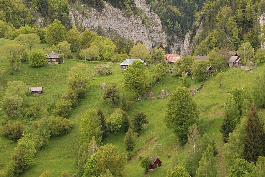 A rural landscape with houses, trees, and a rocky cliff. 1