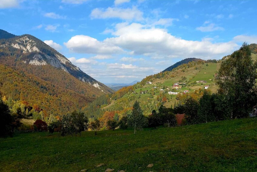 A valley with a mountain, trees, and a small village. 1